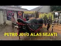 Download Lagu Mberot udan bareng bantengan Putro Joyo Alas Sejati full kalapan