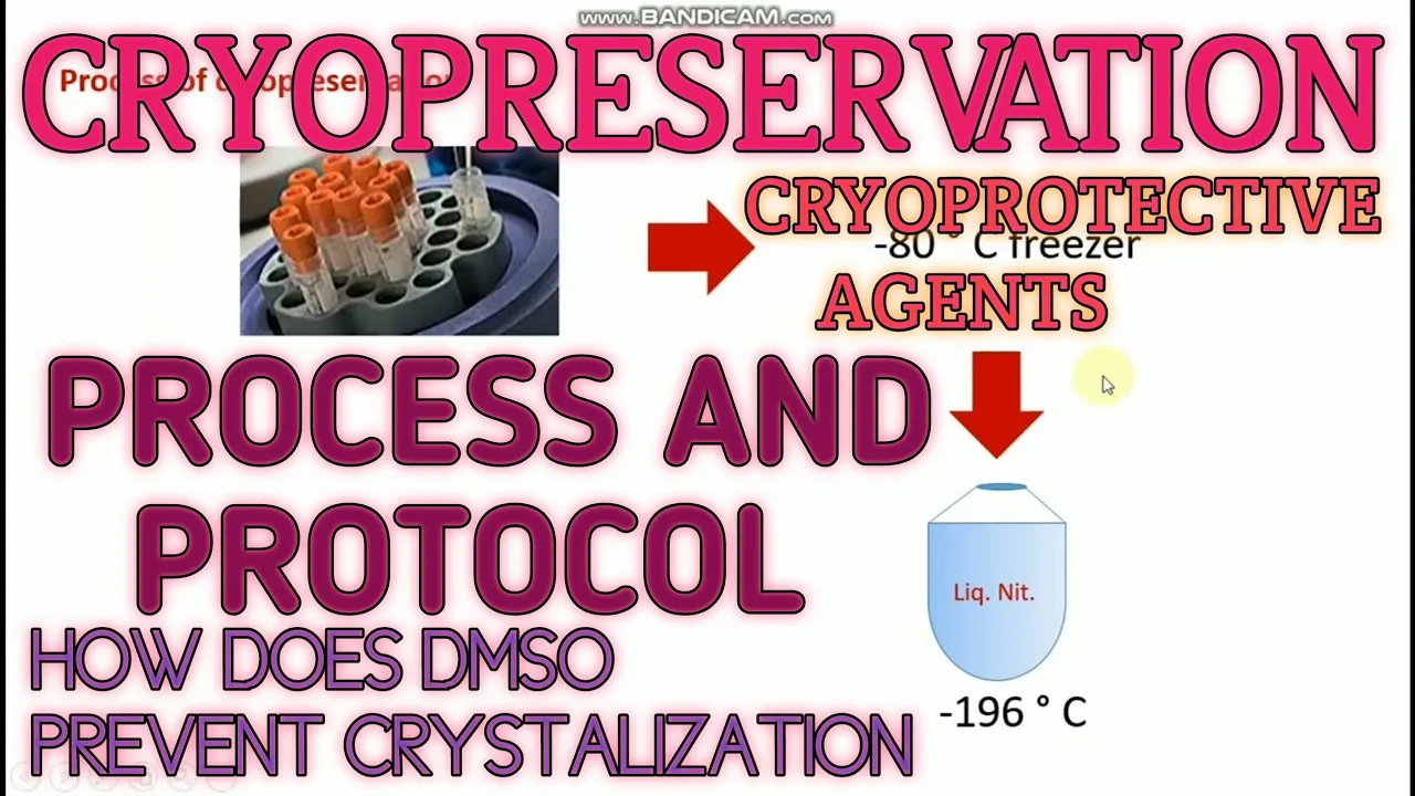 Cryopreservation ll process and protocol for cryopreservation ll Xgene and proteinX