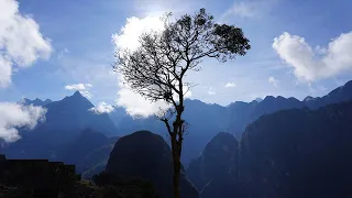 Reforestar de los Andes, el sueño de Don Tino Aucca