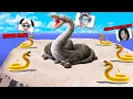 Download Lagu Kita Menjadi Raja Ular TITAN Raksasa! Memakan Mereka Semua yg HINA Keluargaku di ROBLOX!!!