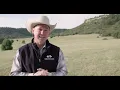 2018 ASPCA Equine Welfare Award Winner Harmony Equine Center