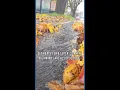 Super-soaker atmospheric river on the way