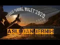 Download Lagu Suara panggil walet asli dan jernih - arief budiman