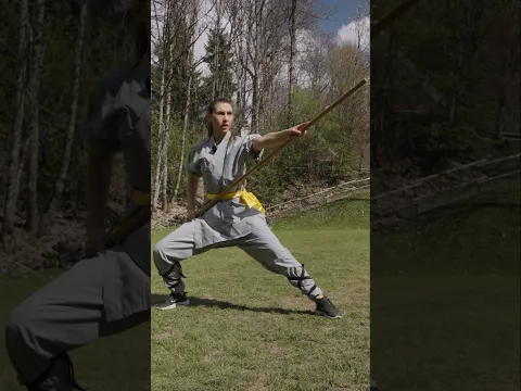 Ich habe 24 Stunden wie ein ECHTER Shaolin trainiert!