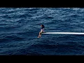 SZA - Kill Bill (Official Audio)