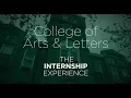 The Internship Experience