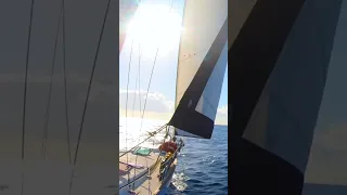 The Seductive Beauty of Sailing. #shorts