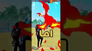 لما تقارن حساب علي عمر وحساب حسونة 