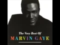 Download Lagu Marvin Gaye DJ RR REMIX