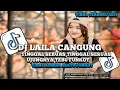 DJ TINGGAL SERUAS TINGGAL SERUAS UJUNGNYA TEBU🎶 DJ FUNKOT LAILA CANGUNG VIRAL DI TIKTOK TERBARU 2024