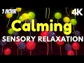 Download Lagu Best Sensory Music for Autism Sensory Visuals