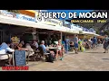Lagu Puerto de Mogan in December | Winter 2025