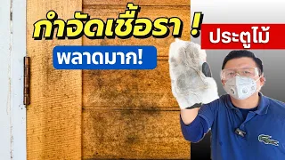 อย่าหาทำ! กำจัดราบนประตูไม้ ระวังเป็นแบบนี้ | Daddy's Tips