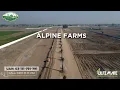 ALPINE FARMS Location Guide - Main G T Road Batapur