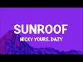 Nicky Youre, dazy - Sunroof (Lyrics)