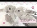Vanessa Rangel - Palpite 【speed up】𖦹 ׂ 𓈒🐇 ೀ