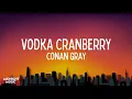 Conan Gray - Vodka Cranberry | Lyrics