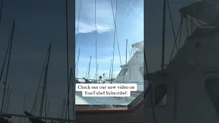 #fyp #dream #sailing #doberman #pets