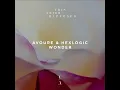 Wonder - Avoure & Hexlogic