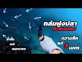 Lagu ดำน้ำยิงปลา ตอน l น้ำตื้นแต่ปลาโคตรเยอะ