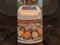 HOW TO USE THE NURTURE 360 INCUBATOR