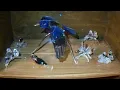 Swarovski figurine collection part 1 poor quality