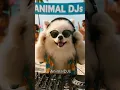 Download Lagu DJ Lulu brings techno house vibes to the beach! Feel the beat and join the AnimalDJs now!