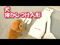 Download Lagu I bought a dog sleeping doll and tried it out lol