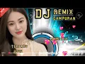 Download Lagu DJ REMIX TERBARU 2025 RA ISO LALI
