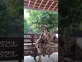 Download Lagu Telaga Rindu by Rafika Duri (covered)