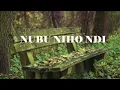 Download Lagu Nubu Nihondi  James \u0026 Daniella (official video lyrics)