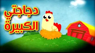 دجاجتي الكبيرة قناة بلبل BulBul TV 