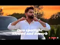 Own spotlight (Slowed and Reverb) Parmish Verma (Slowedvibe) 