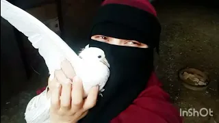 روتين جميل عملت احلي كفته يوم جديد مع وسام مطبخ وسام دندنها