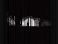 Black Rebel Motorcycle Club-In Like The Rose (Studio)