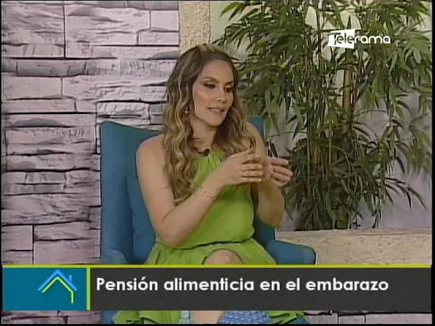 Pensión alimenticia en el embarazo