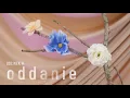 Download Lagu Sercanki [#14] Oddanie