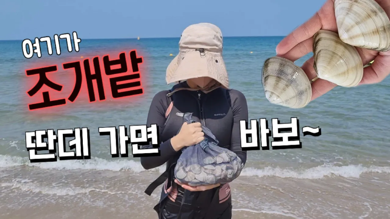 맹방해수욕장, 조개잡이 성지, 그냥 조개밭이에요! (송지호 해수욕장이랑 비교가 안됨), 삼척여행, 여름휴가 サムネイル