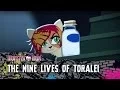 The Nine Lives Of Toralei Volume 3 Monster High