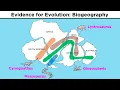 The Evolution of Populations Natural Selection Genetic Drift and Gene Flow