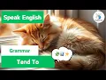 Tend To How to Talk About Habits Common Behaviors Grammar