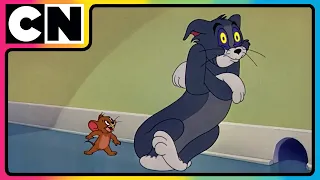 Tom And Jerry International Cat Day The OG Chaotic Besties Cat And The Mouse Cnindia 
