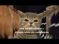 Download Lagu pergi tak meninggalkan x dia masa lalumu aku masadepanmu speed up reverb (viral tiktok)