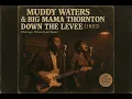 Lagu Chicago Blues – Muddy Waters \u0026 Big Mama Thornton Down the Levee 1952 Rare Vintage Blues Recordings