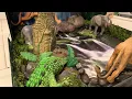 Tropical Rainforest Biome Shoebox Project