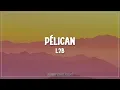 L2B - Pélican (Lyrics)