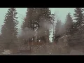 a snowy morning that feels like a memory | indie folk playlist + nature sounds