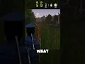 They can fly!