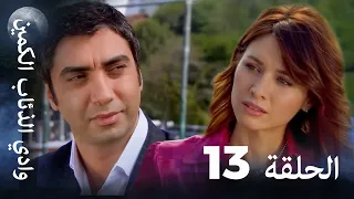 وادي الذئاب الكمين الحلقة 13 بجودة عالية الدقة 