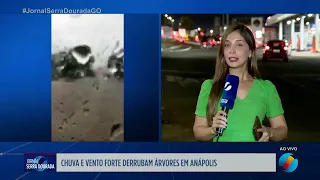 Chuva e vento forte derrubam árvores em Anápolis